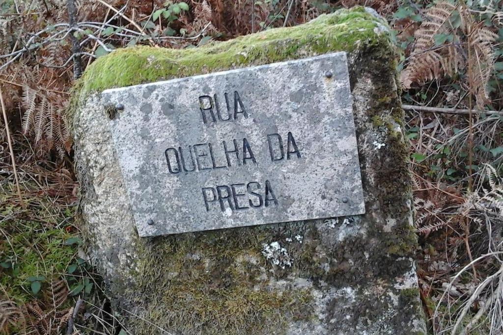 Casa Quelha Da Presa Villa Espinho  Eksteriør bilde