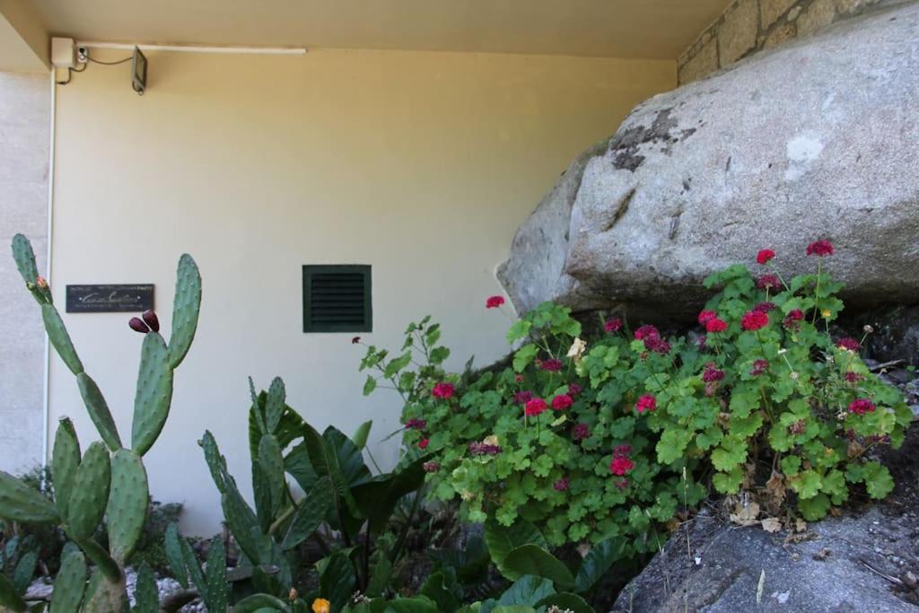 Casa Quelha Da Presa Villa Espinho  Eksteriør bilde